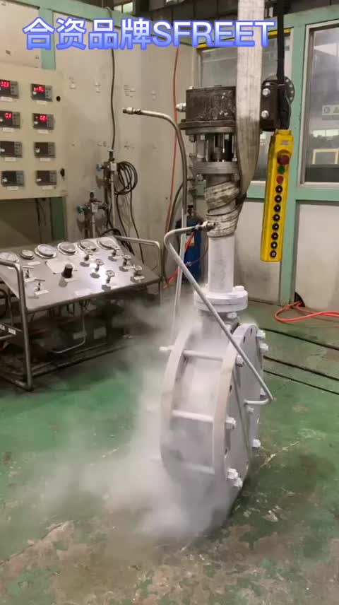 低溫蝶閥